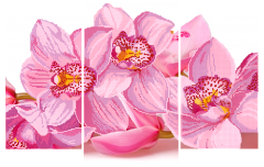 Схема для вышивки бисером PA-1652 Триптих Орхидея