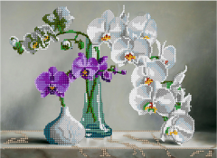 Схема для вышивки бисером PA-1653 Нежность орхидеи
