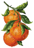 Набор для вышивки бисером PA-1826 Ветка апельсина