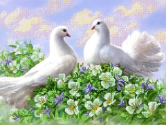 Схема для вышивки бисером PA-1884 Пара белых голубей
