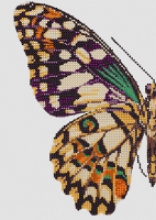 Набор для вышивки бисером PA-1980 Крыло бабочки