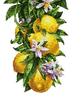 Схема для вышивки бисером PA-1982 Цветущие лимончики