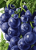 Схема для вышивки бисером PA-1984 Десертный виноград